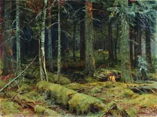 Dark Forest 1890 By Ivan Shishkin