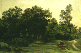 Deciduous Forest 1890 By Ivan Shishkin