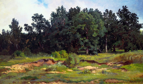 Dubrovy the Woods in a Gray Day 1873 By Ivan Shishkin
