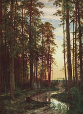 Evening in the Pine Forest 1875 By Ivan Shishkin