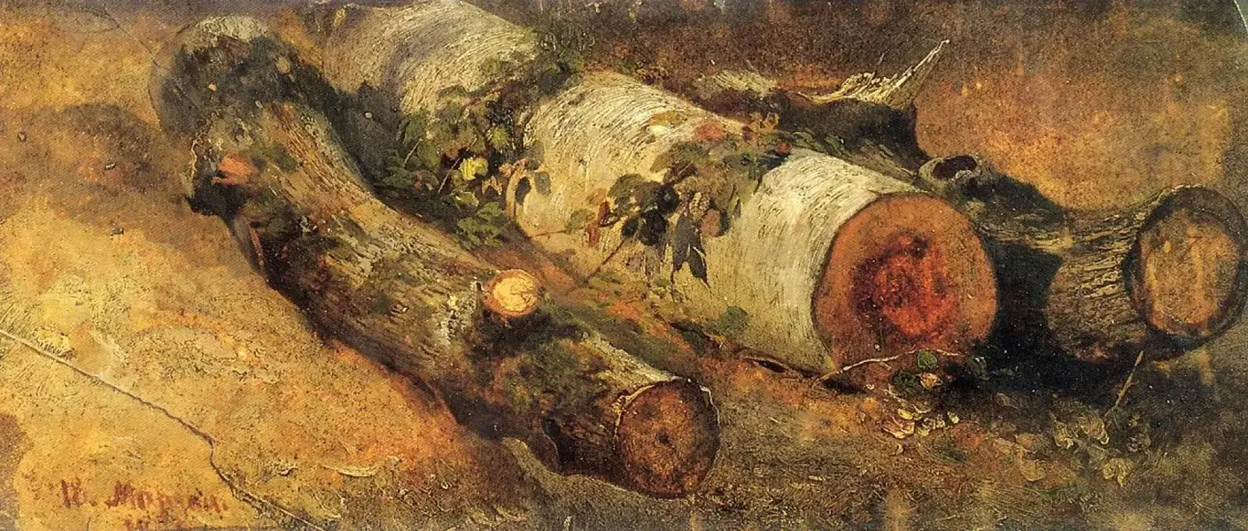 Felled Birch 1864 By Ivan Shishkin
