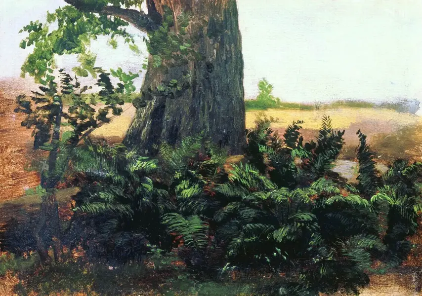 Ferns By Ivan Shishkin