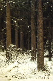 Fir Forest in Winter 1884 By Ivan Shishkin