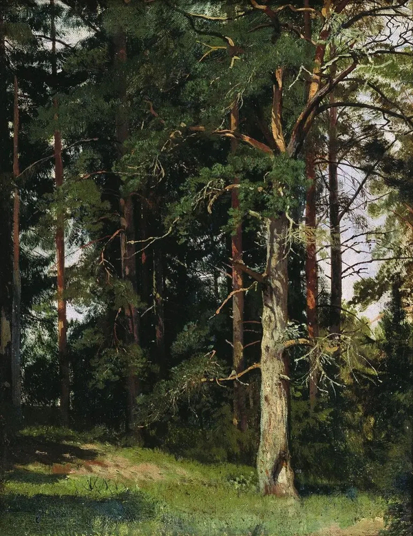 Forest 1880 by Ivan Shishkin | Oil Painting Reproduction