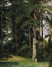 Forest 1880 By Ivan Shishkin