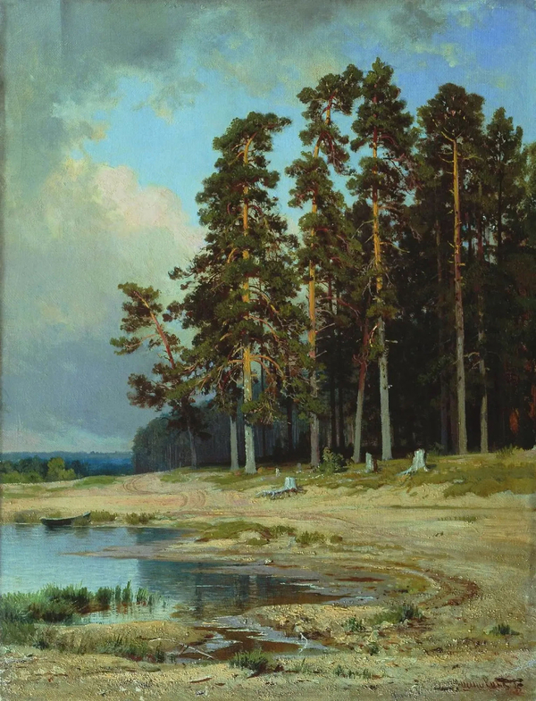 Forest 1885 by Ivan Shishkin | Oil Painting Reproduction