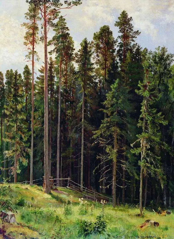 Forest 1892 by Ivan Shishkin | Oil Painting Reproduction