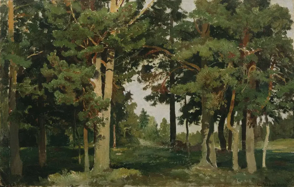 Forest 1893 By Ivan Shishkin