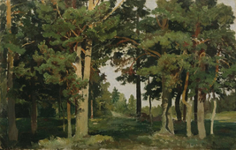 Forest 1893 By Ivan Shishkin