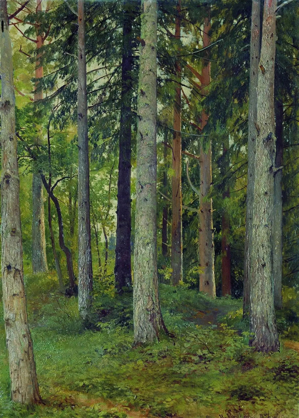 Forest 1897 by Ivan Shishkin | Oil Painting Reproduction