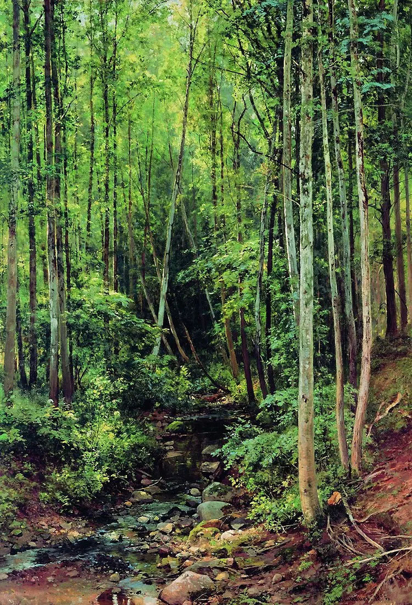 Forest Aspen 1896 by Ivan Shishkin | Oil Painting Reproduction