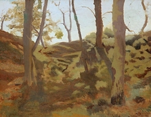 Landscape With Trees By Ramon Casas