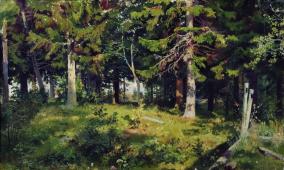 Forest Glade 1889 By Ivan Shishkin