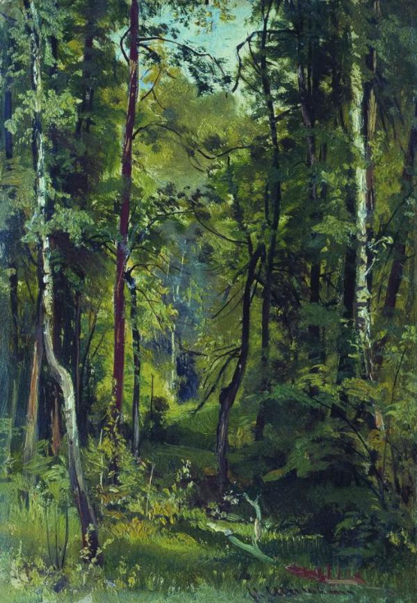 Forest II by Ivan Shishkin | Oil Painting Reproduction