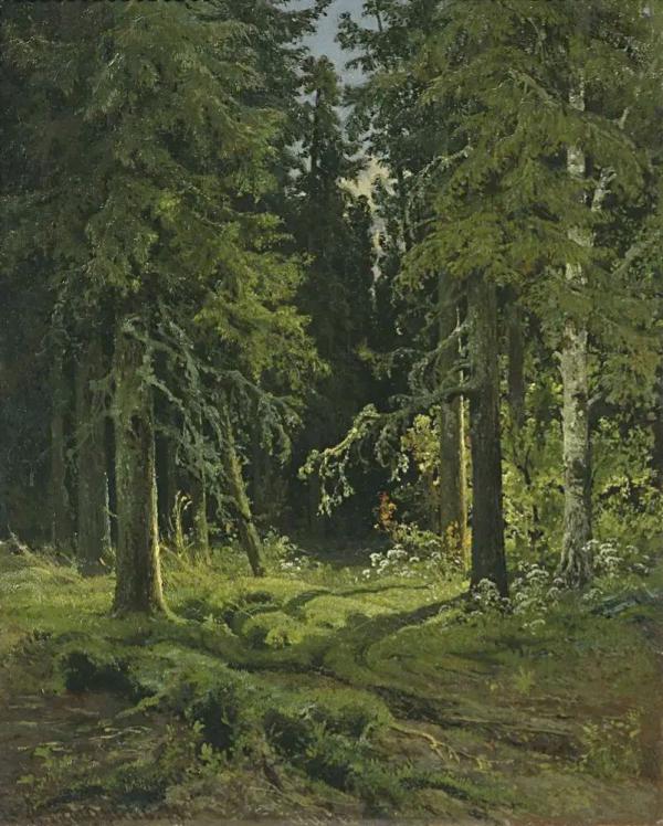 Forest Landscape 1878 by Ivan Shishkin | Oil Painting Reproduction
