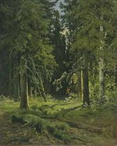 Forest Landscape 1878 By Ivan Shishkin