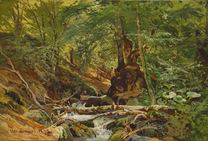 Forest Landscape 1879 by Ivan Shishkin | Oil Painting Reproduction