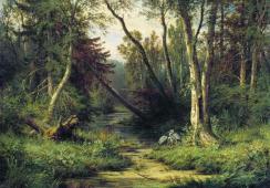 Forest Landscape with Herons 1870 By Ivan Shishkin