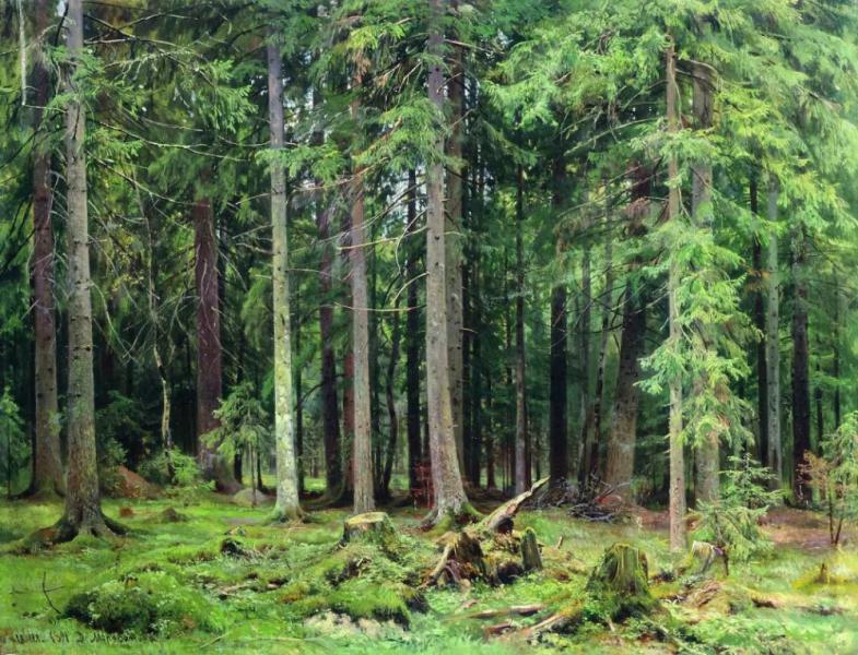 Forest Mordvinova 1891 by Ivan Shishkin | Oil Painting Reproduction