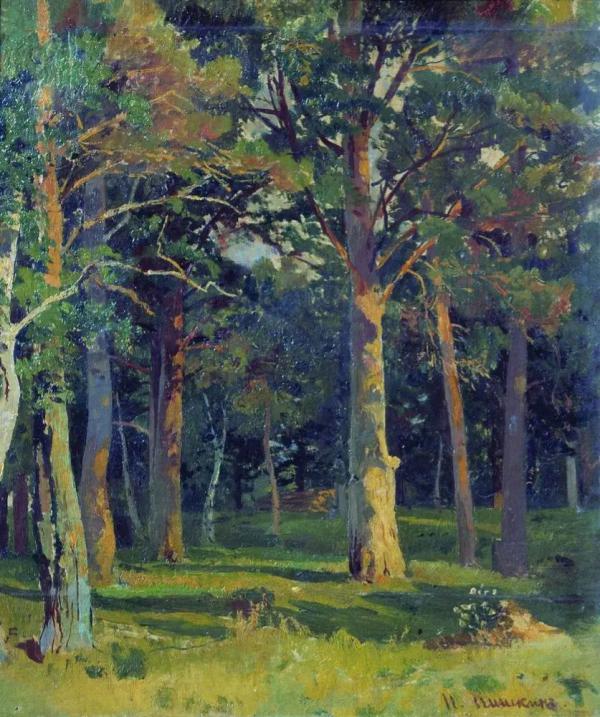 Forest Pine Trees by Ivan Shishkin | Oil Painting Reproduction