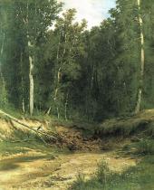 Forest Stream 1874 By Ivan Shishkin