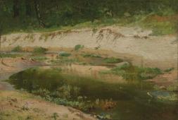 Forest Stream 1895 By Ivan Shishkin