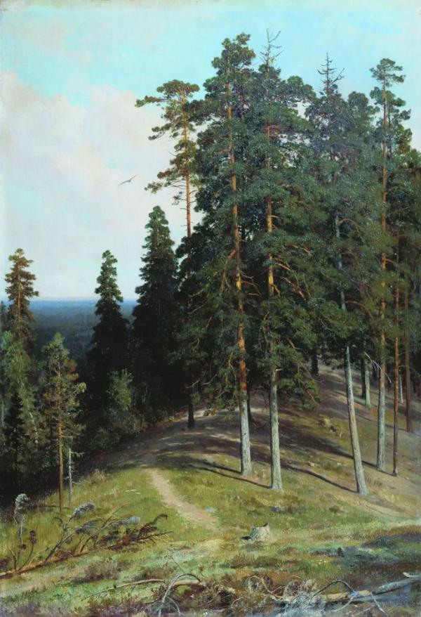 Forest with Mountains 1895 by Ivan Shishkin | Oil Painting Reproduction