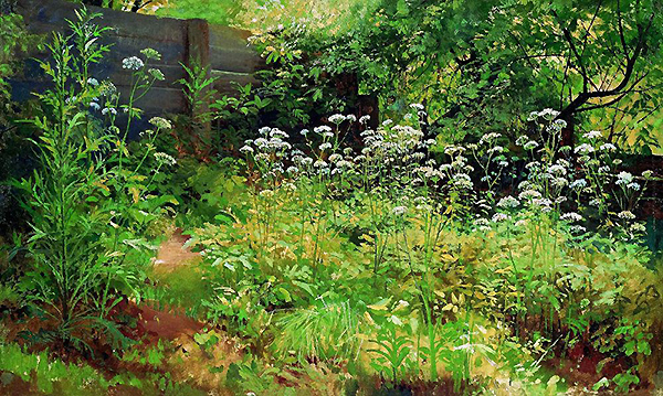 Goutweed Grass Pargolovo 1885 by Ivan Shishkin | Oil Painting Reproduction