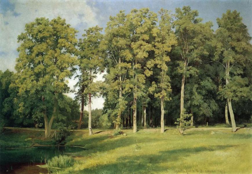 Grove by the Pond 1896 by Ivan Shishkin | Oil Painting Reproduction