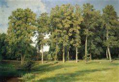 Grove by the Pond 1896 By Ivan Shishkin