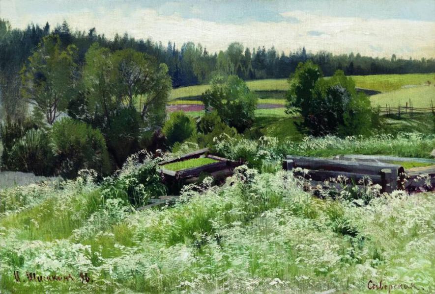 In Siverskiy 1896 by Ivan Shishkin | Oil Painting Reproduction