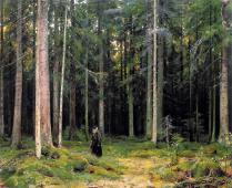 In the Forest of Countess Mordvinova 1891 By Ivan Shishkin