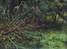 In the Spruce Forest By Ivan Shishkin