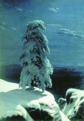 In the Wild North 1891 By Ivan Shishkin