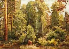 In the Woods By Ivan Shishkin