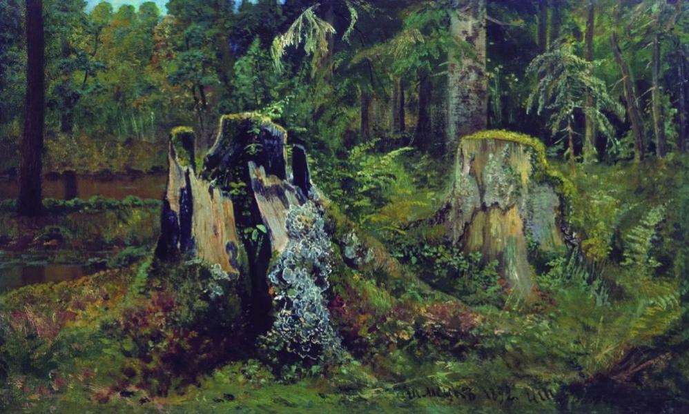 Landscape with Stump 1892 by Ivan Shishkin | Oil Painting Reproduction