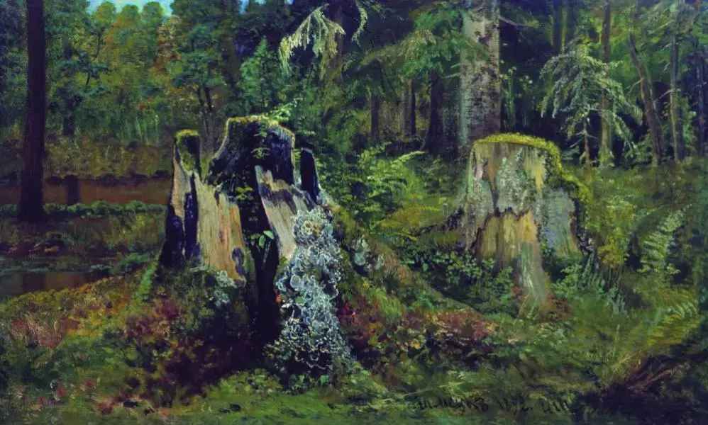 Landscape with Stump 1892 By Ivan Shishkin