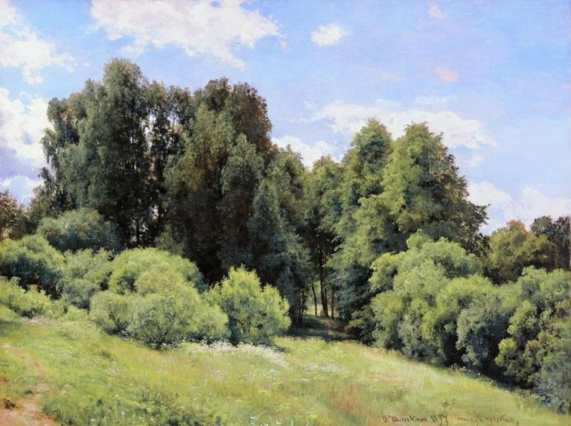 Lesnaya Polyana a Clearing by Ivan Shishkin | Oil Painting Reproduction