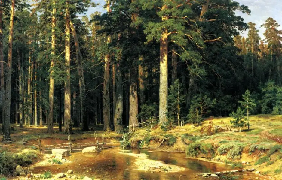 Mast Tree Grove 1898 By Ivan Shishkin