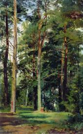Meadow with Pine Trees By Ivan Shishkin