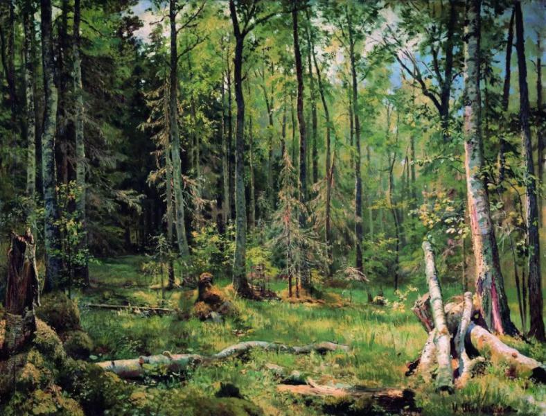 Mixed Forest Shmetsk Near Narva | Oil Painting Reproduction