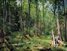 Mixed Forest Shmetsk Near Narva By Ivan Shishkin