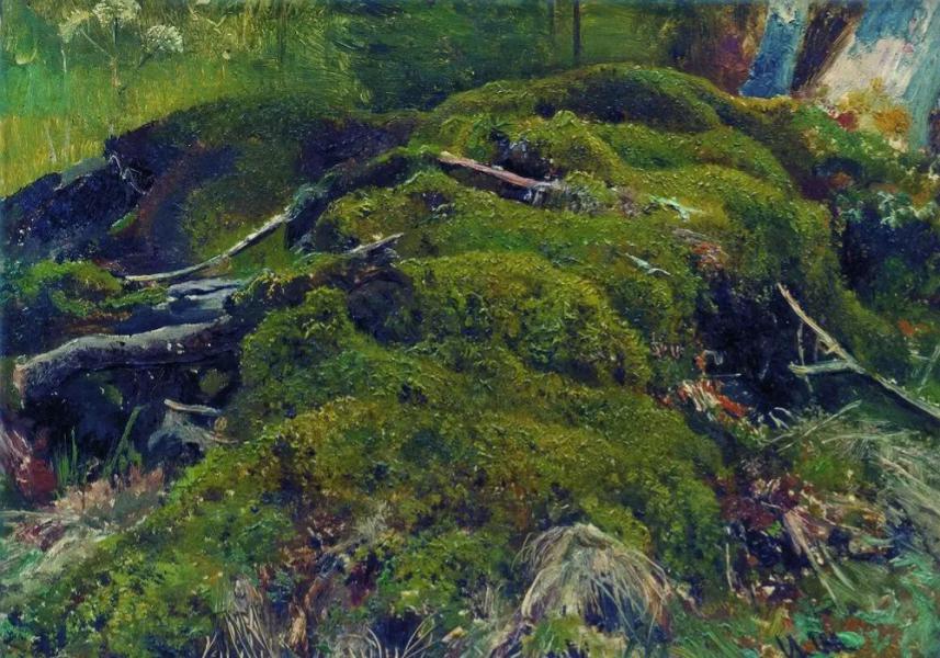 Moss Roots by Ivan Shishkin | Oil Painting Reproduction