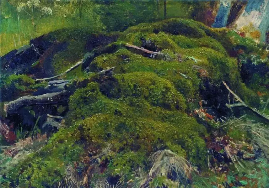 Moss Roots By Ivan Shishkin