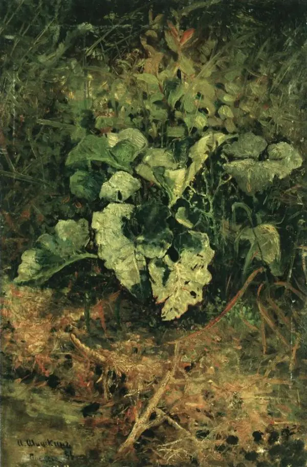 Mugs 1880 By Ivan Shishkin