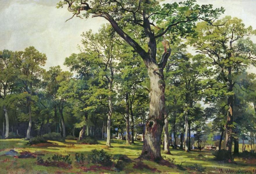 Oak Forest 1869 by Ivan Shishkin | Oil Painting Reproduction