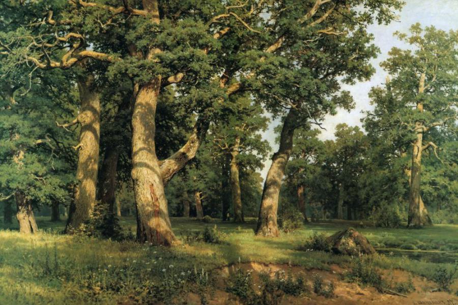 Oak Grove 1887 by Ivan Shishkin | Oil Painting Reproduction