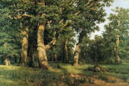 Oak Grove 1887 By Ivan Shishkin