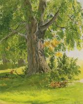 Oak Lit by the Sun By Ivan Shishkin