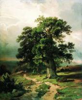 Oaks 1865 By Ivan Shishkin